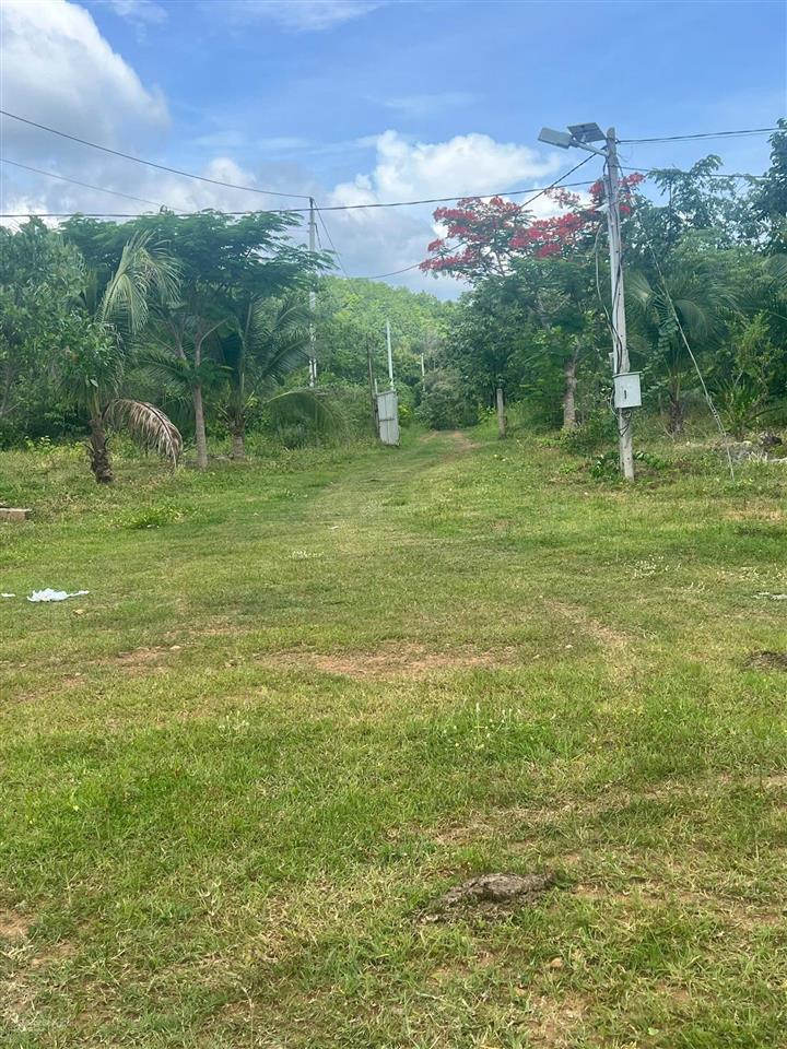 22ha bán đất vườn cây ăn trái  phù hợp làm trang trại hoặc sinh thái  hàm thuận bắc  bình thuận