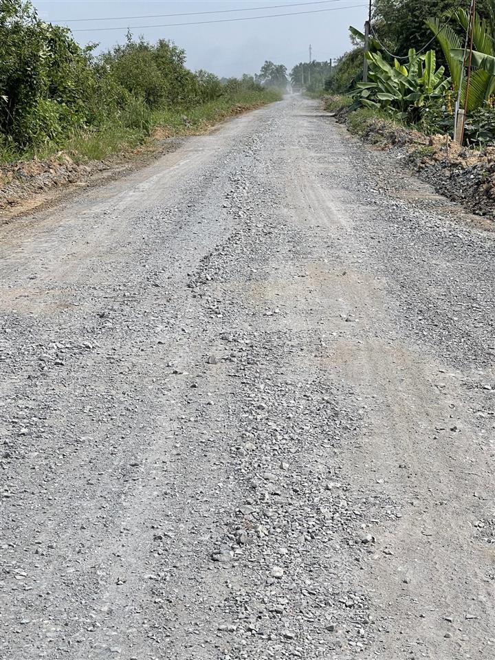 Dt 12x83,7m đang trồng dừa và cho thu hoạch