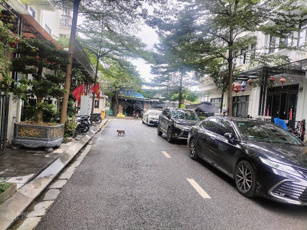 Nhà phân lô, vỉa hè kđt vinadic phú diễn, btl, 80m2, 5 tầng, mt 4.5m, giá 20 tỷ