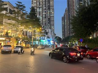 Chính chủ bán liền kề mặt phố mỗ lao nguyễn văn lộc hà đông, 5 tầng, mặt tiền 7m