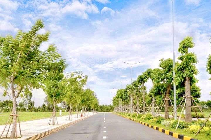 Ra nhanh lô 110m2 mặt tiền đường mai bá hương (60m) có sổ hồng riêng, full thổ cư