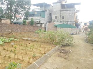 Bán đất tân xã, 35 triệu/m2, 103.8m2, thạch thất, hà nội, giá tốt