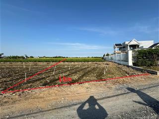 Bán đất tại mạc văn thành, tân đông, gò công đông, tiền giang, 1 tỷ, 730 m2 đẹp, tiện ích