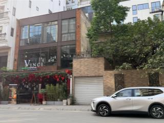 Bán nhà kv linh lang  đào tấn. 100m2 mặt tiền 9m. vuông đẹp, 4 tầng biệt thự. chỉ 65 tỷ