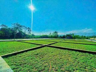 Bán đất tại đại lộ thăng long, quốc oai, hà nội, gia 25tr/m2, 100m2. sẵn sổ full thổ cư .