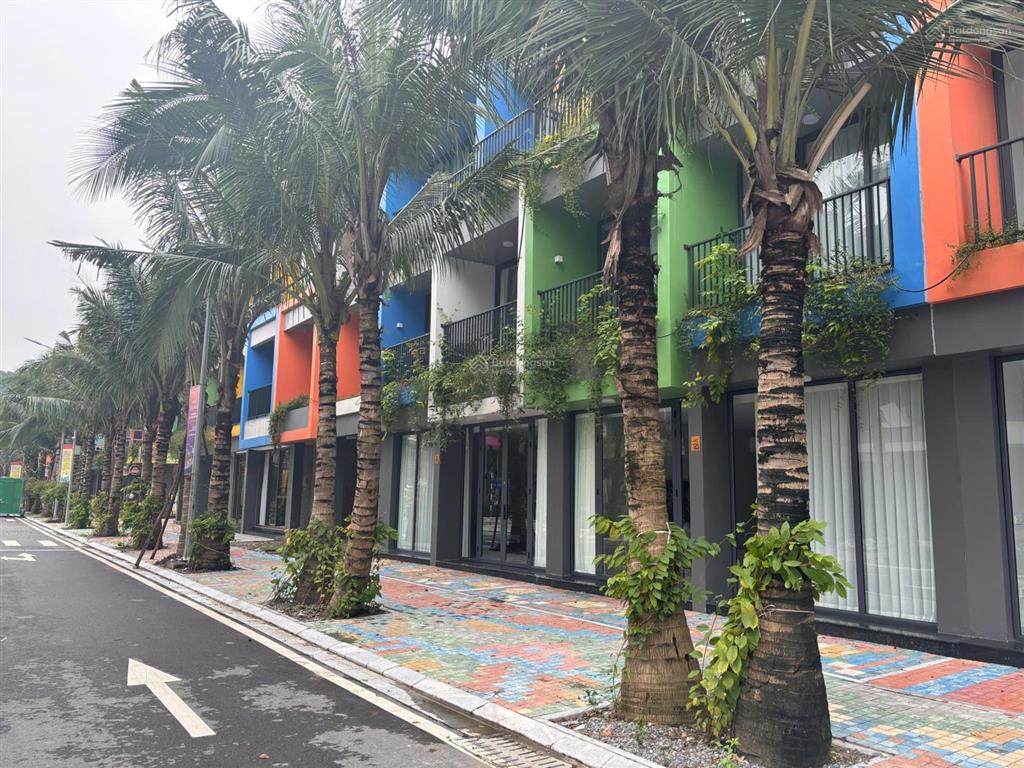 Chính chủ cần cho thuê căn góc liền kề flamingo golden hill. giá 15tr/tháng