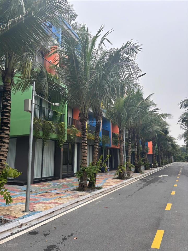 Chính chủ cần cho thuê căn góc liền kề flamingo golden hill. giá 15tr/tháng