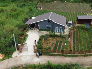 Bán nhà sân vườn, view thung lũng an bình, đà lạt. giá 8,5 tỷ