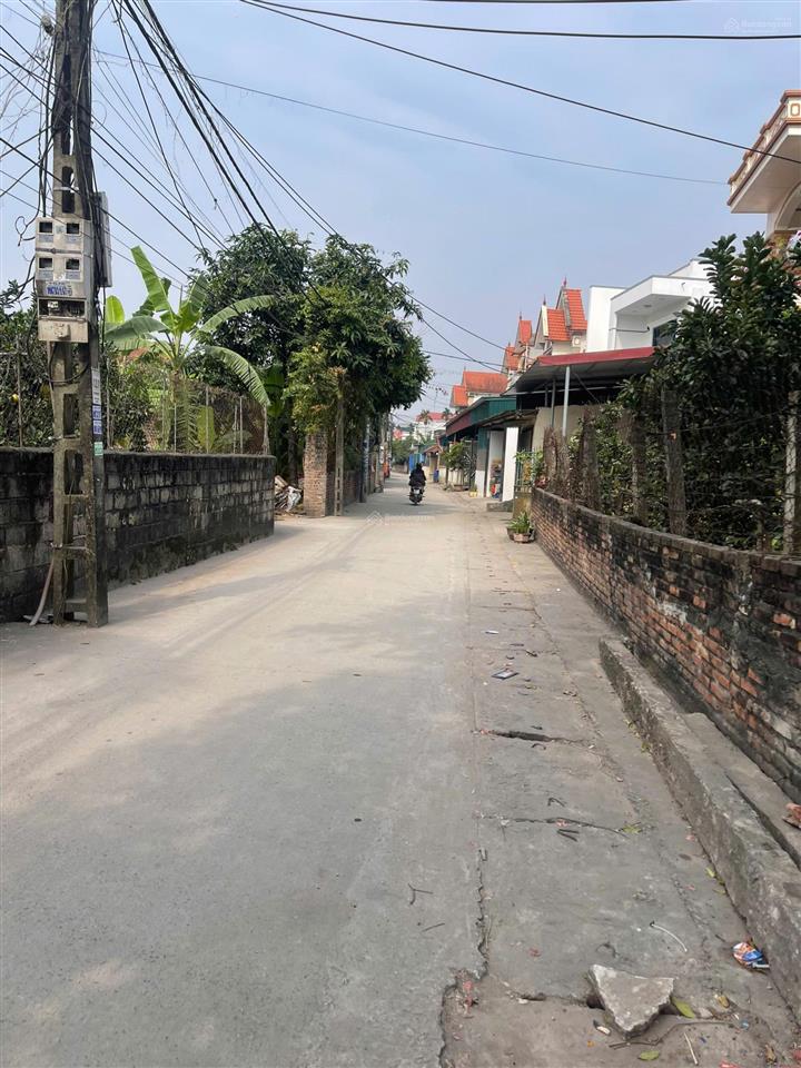 2,1 tỷ 75m2 ô tô vào tận đất hàng hiếm tầm tiền yên mỹ, hưng yên