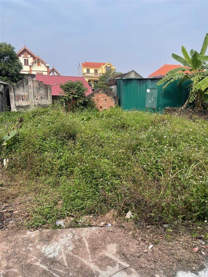 2,1 tỷ 75m2 ô tô vào tận đất hàng hiếm tầm tiền yên mỹ, hưng yên