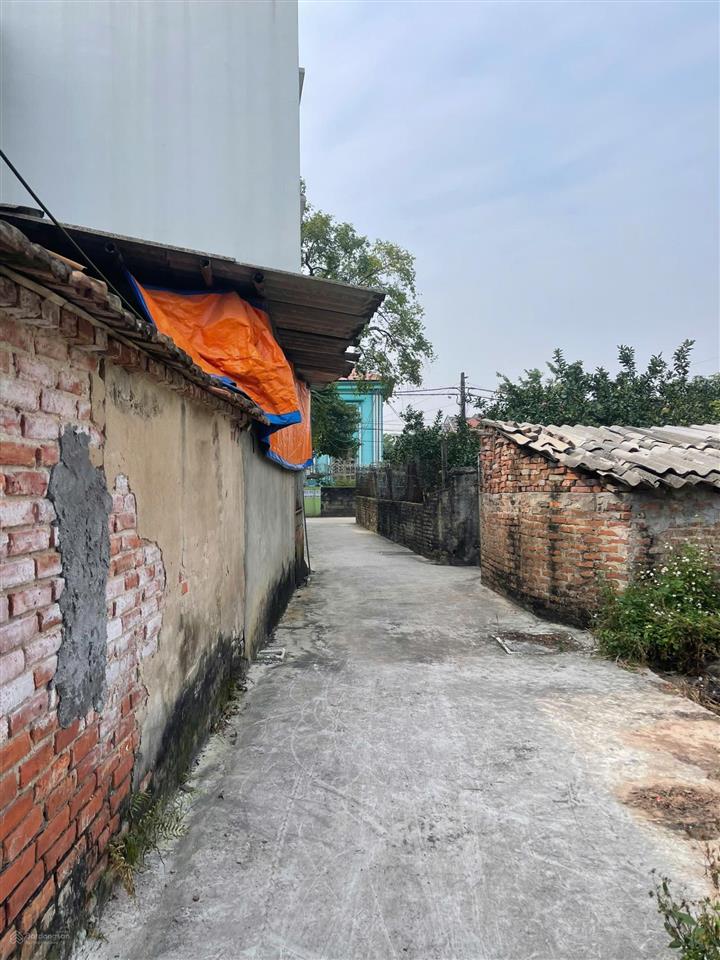 2,1 tỷ 75m2 ô tô vào tận đất hàng hiếm tầm tiền yên mỹ, hưng yên