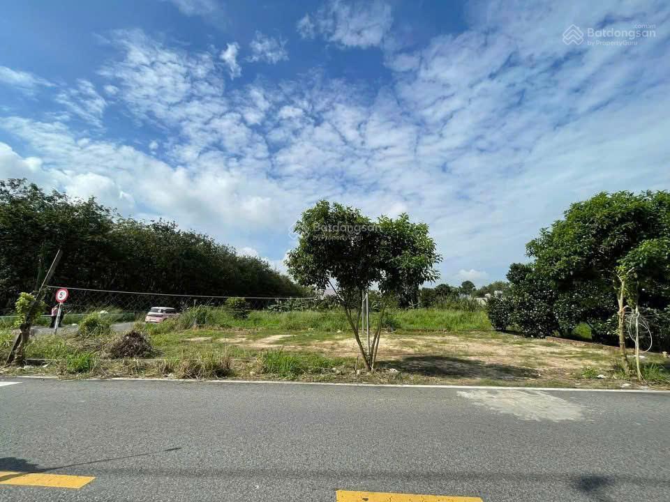 Bán đất tại đường bùi thị điệt, xã nhuận đức, củ chi, hcm, 11,1x15 167m2 (80m2 thổ cư) hot!