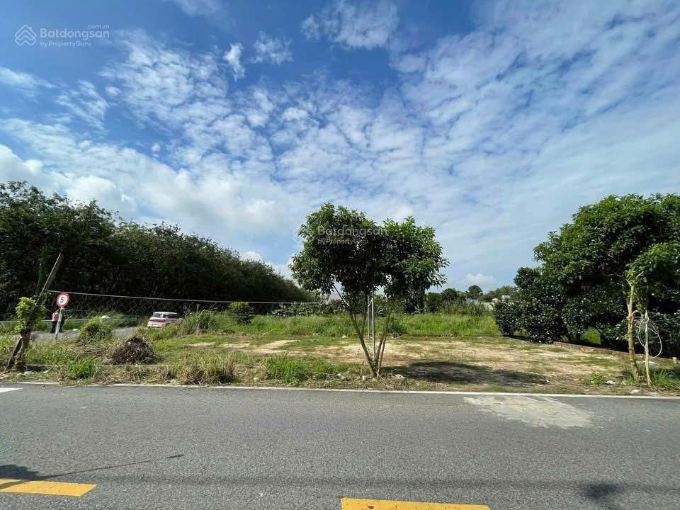 Chính chủ gửi bán đất bùi thị điệt, 1,38 tỷ, ngang 6m bao đẹp 92,5m2, củ chi, hcm đẹp