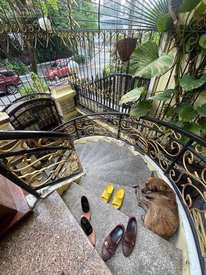 Bán siêu phẩm biệt thự tại trung sơn liền kề himlam q7. cầu nguyễn khoái 5 tầng hầm giá 29 tỷ,