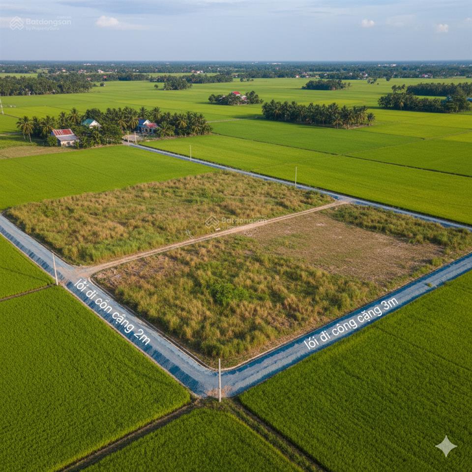 Cần nhượng lại 2 thửa đất thổ tại huyện cần đước, tỉnh long an. đã có sổ hồng riêng, sang tên ngay