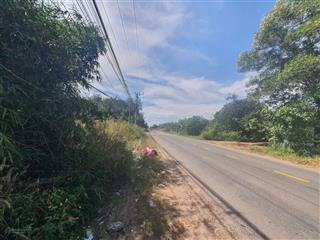 Bán đất tại xã trừ văn thố, bàu bàng, bình dương, 1,5 tỷ, 310 m2  hàng hiếm! nh thanh lý