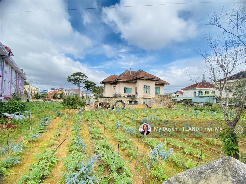 Chuyển hướng bán đất lớn siêu hiếm ngay khu đắc địa gần resort mercure p9 đà lạt 3761m2 70tr/m2