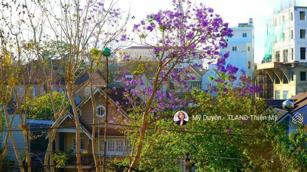 Bán gấp đất trần quý cáp trung tâm p9 đà lạt 377m2 giá tốt chỉ 26 tỷ thương lượng