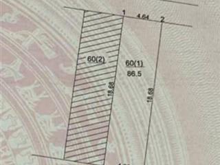 Bán 86.5m2 đất tt trâu quỳ | vị trí đẹp phù hợp vừa ở vừa kinh doanh khách sạn/ cc mini