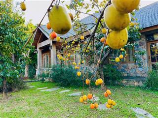 Chính chủ cắt bán lô đất 310m2, mặt tiền 24m đã sẵn sổ hồng giá chỉ quanh 10tr/m2 đường thông