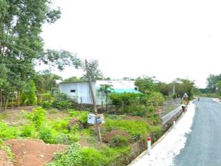 Bán gấp trước tết (11x60=700m²) thổ cư full shr, bước bộ ra ql14 chợ minh lập sầm uất, chỉ 485tr