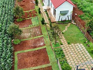 Bán gấp lô đất gần chợ tân hà, lâm hà, 7x42m, 124m2 thổ cư, đường bê tông 6m, giá 700 tr, sổ riêng