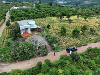 Chính chủ bán lô đất view săn mây, tân hà, lâm hà, ngang 12m, 232m2, đường betong 5m, giá 650tr