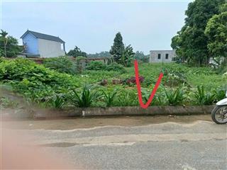 Bán đất 100m2 gần quốc lộ 32, thị trấn phùng, đan phượng, hà nội, 2,8 tỷ