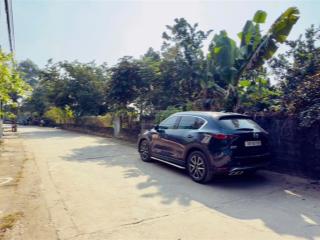 Đất đồng trạng cổ đông hơn 3 tỷ vị trí đẹp, tiềm năng đầu tư cao