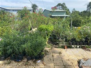 Bán đất tại trần thị nhượng, an hòa, sa đéc, đồng tháp, giá tốt chỉ với 15 tỷ, 3500m2