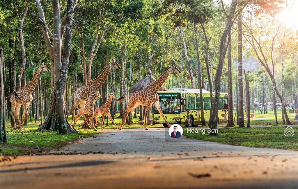 Biệt thự đơn lập vip mặt hồ lagoon 10km khu vịnh tiên, dt đất 418m2. hàng xóm tài phiệt, đẳng cấp