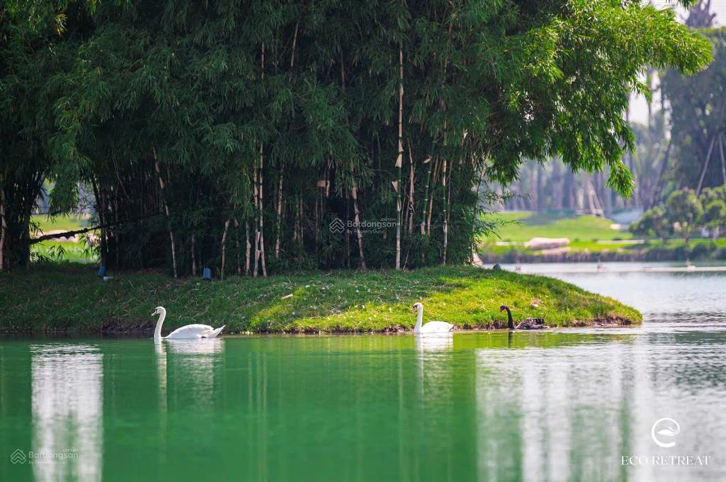 Giỏ hàng giá cđt căn hộ eco retreat duplex thông tầng 65m23.4tỷ, 2pn3.8tỷ, 3pn4.2tỷ, ck đến 12%