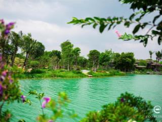 Giỏ hàng trực tiếp chủ đầu tư biệt thự rừng retreat foresttúi rừng trị liệu đầu tiên tại vn, ck11%