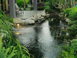 Độc quyền duy nhất 1 căn villa song lập biệt thự rừng giá chỉ 16.1 tỷ. tốt nhất thị trường