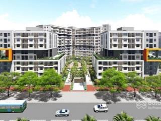 5 suất ngoại giao ct3 kim chung