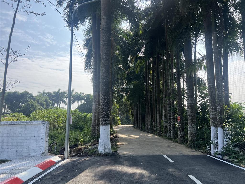 Chính chủ 100m2 full thổ cư  vượng khí sinh tài