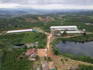 Cần bán vườn cà phê + trại heo+ trại gà tổng 9 ha  xã phúc thọ, huyện lâm hà, tỉnh lâm đồng