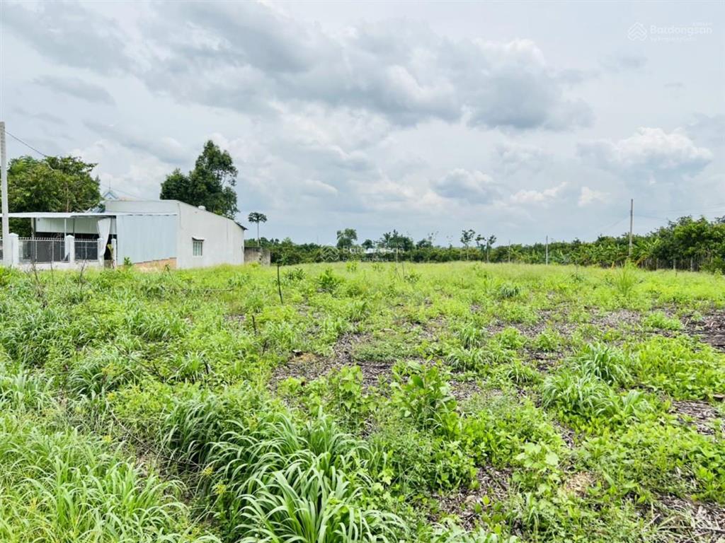 Bán đất ngay gần quốc lộ 20, trung tâm xã phú ngọc, đường ô tô, sổ hồng riêng, gần chợ trường học