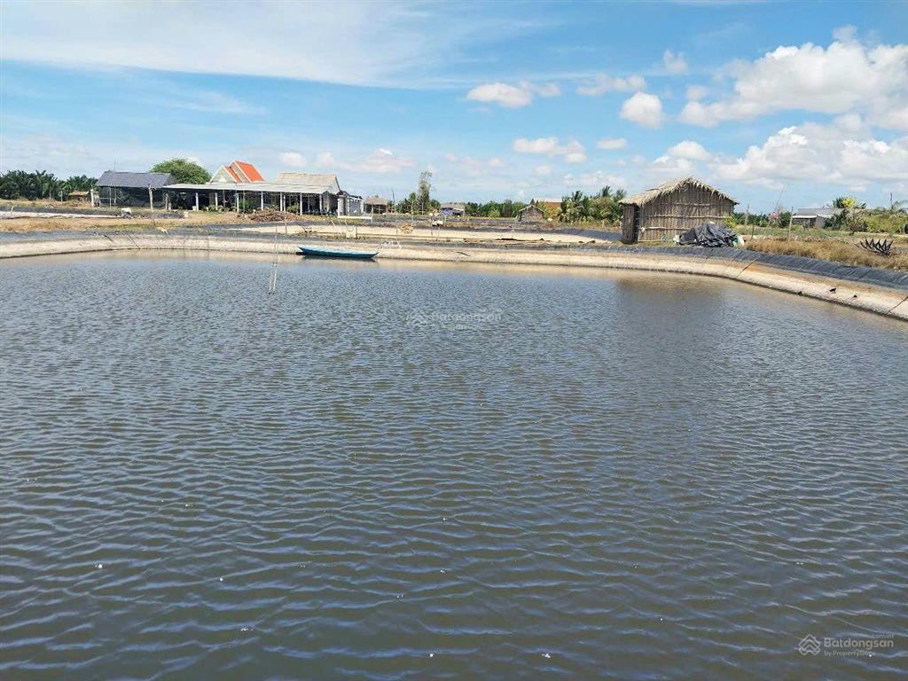 Bán đất vuông công nghiệp siêu đẹp. mỹ an  thạnh phú  bến tre