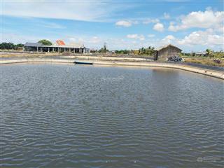 Bán đất vuông công nghiệp siêu đẹp. mỹ an  thạnh phú  bến tre