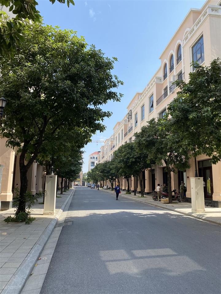 Cọ xanh 52m gần áp góc giá 8,05 tỷ bao phí, chính chủ bán nhanh tại vin ocean park 2.0961 522 ***