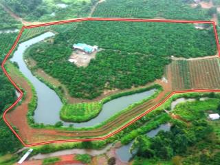 Siêu phẩm gần 4.1 hecta ôm suối bao quanh đất bằng như sân nguồn thu mạnh