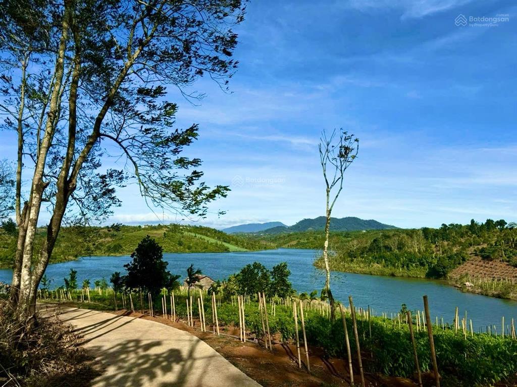 Cần bán 2.6 hecta đất nghỉ dưỡng ôm 350m mặt hồ tự nhiên nâm n jang đã tách 13 cuốn sổ, giá 5.5 tỷ