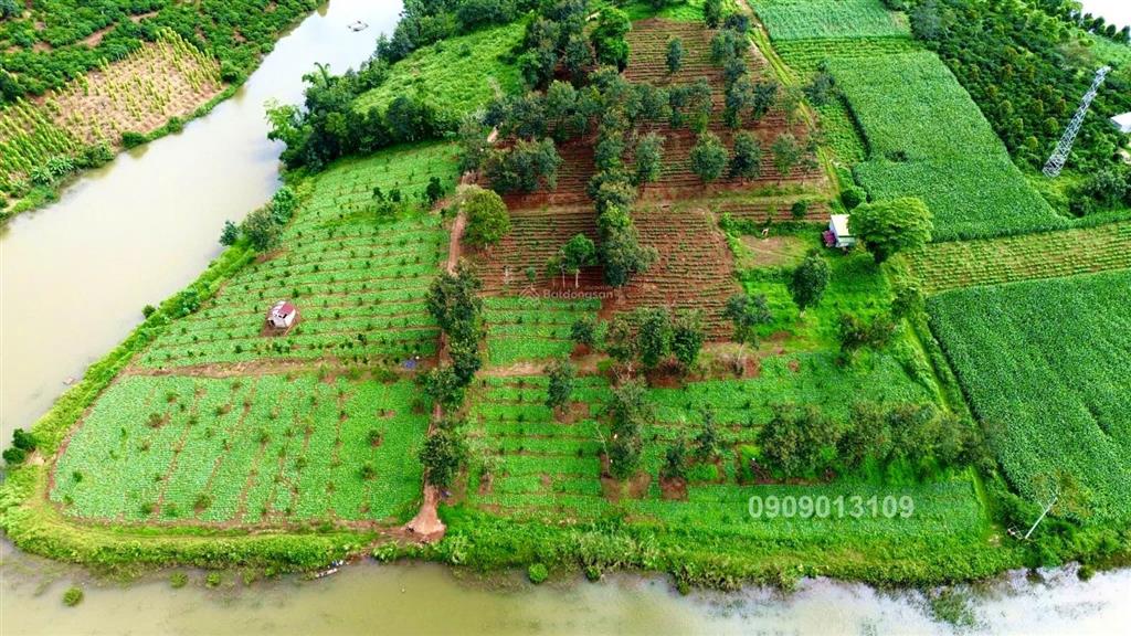 Cần bán 2.6 hecta đất nghỉ dưỡng ôm 350m mặt hồ tự nhiên nâm n jang đã tách 13 cuốn sổ, giá 5.5 tỷ