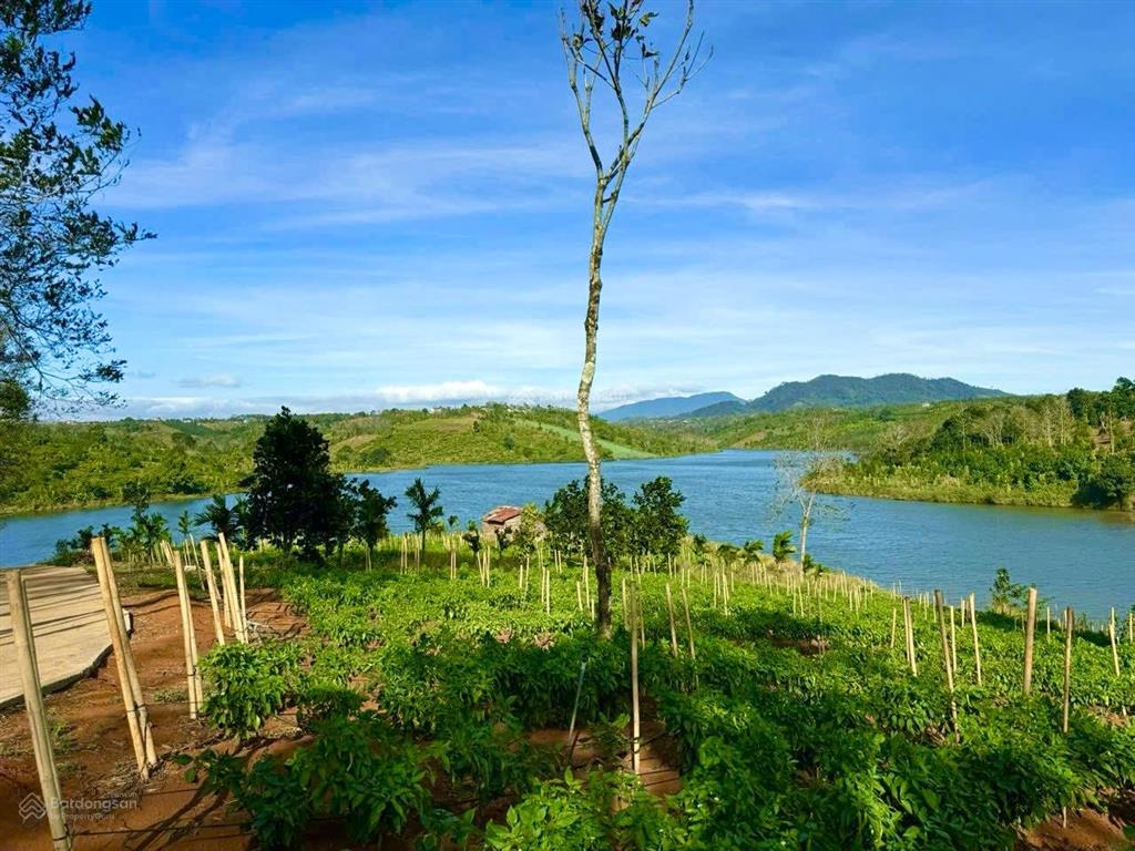 Cần bán 2.6 hecta đất nghỉ dưỡng ôm 350m mặt hồ tự nhiên nâm n jang đã tách 13 cuốn sổ, giá 5.5 tỷ
