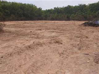 Đất đường võ thị bàng có 5000m2 thổ cư thích hợp xây kho xưởng