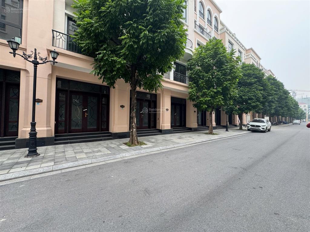 Bán nhanh căn liền kề 52m2 giá tốt nhất phân khu cọ xanh, vinhomes ocean park 2