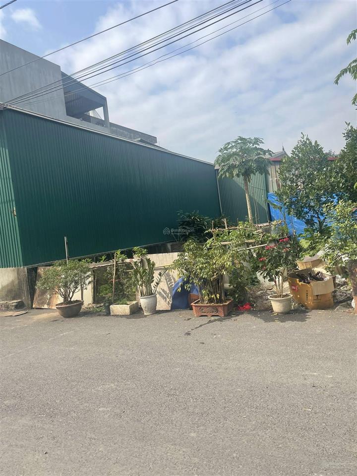 Bán nhanh lô đất đấu giá nam cường, phụng thượng giá chỉ hơn 4 tỷ