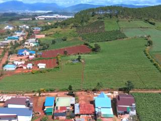 Siêu vip  1.4 ha hai mặt tiền đường, đất đỏ bazan đẹp như tranh, giá cực hấp dẫn