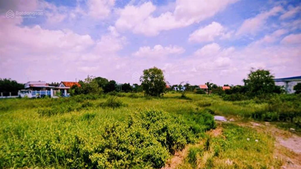 Bán 6933m² đất skc, mặt tiền đt826b qh full hồng gần kcn cảng phước đông